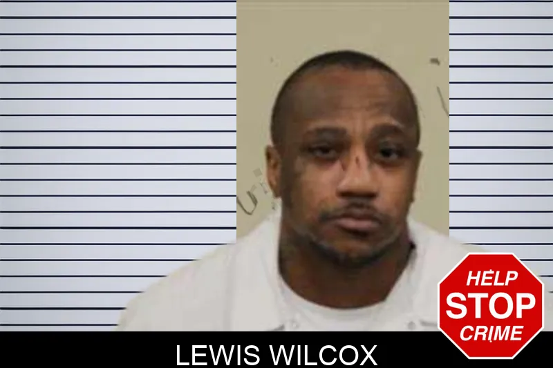 Lewis Wilcox Mugshots
