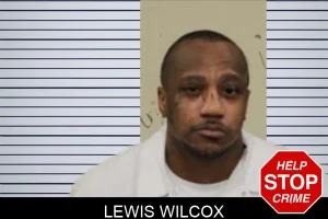 Lewis Wilcox mugshot