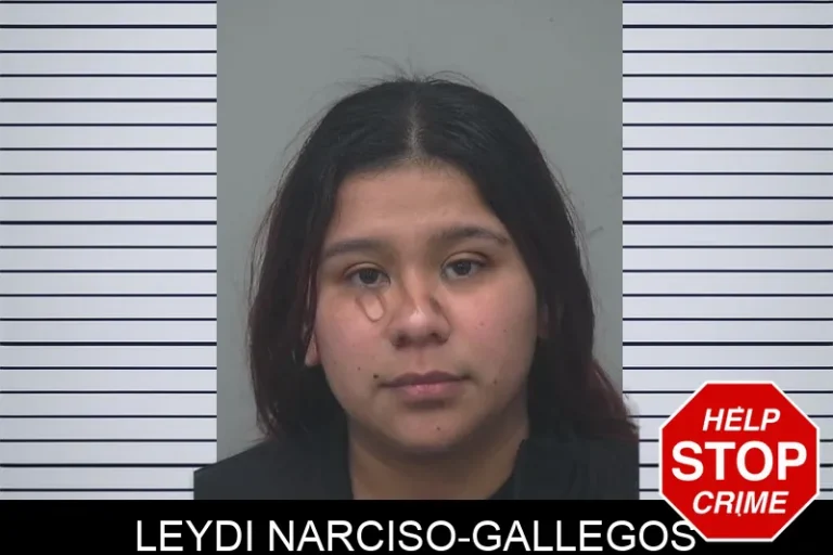 Leydi Narciso-Gallegos