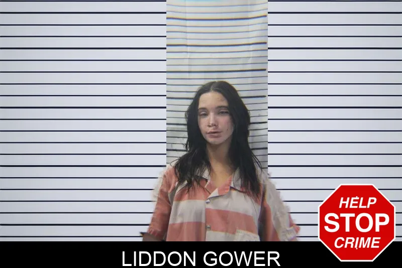 Liddon Gower Mugshots