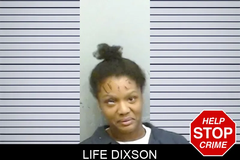 Life Dixson Mugshots