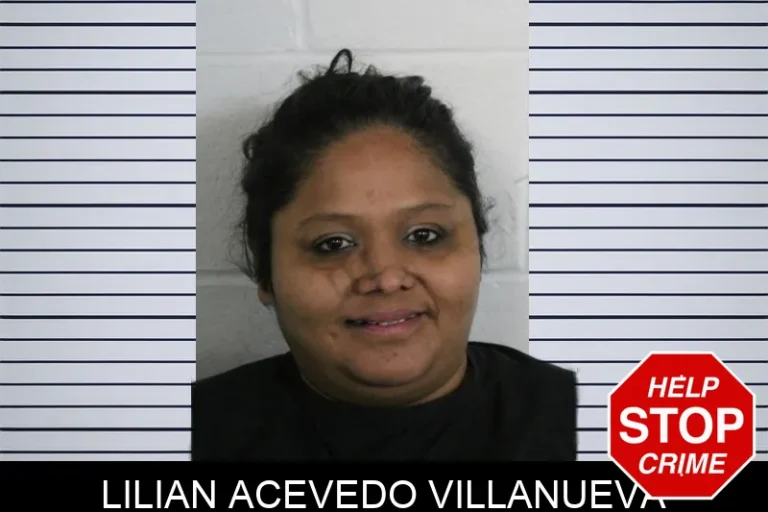 Lilian Acevedo Villanueva