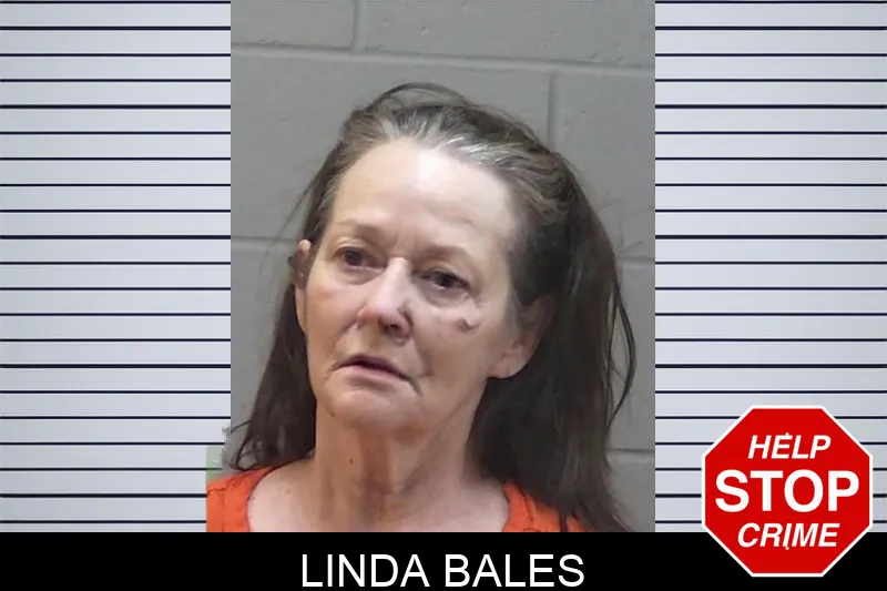 Linda Bales Mugshots