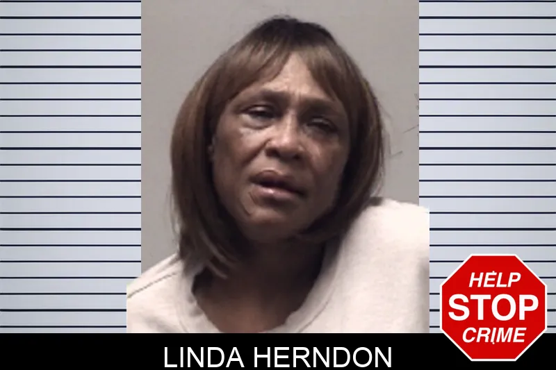 Linda Herndon Mugshots