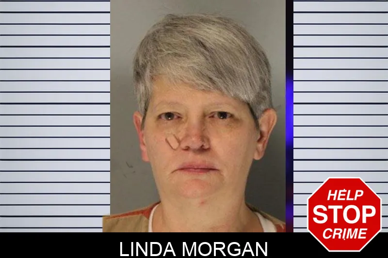 Linda Morgan Mugshots