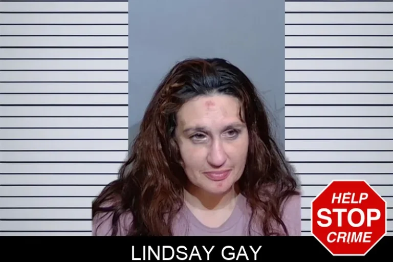 Lindsay Gay mugshot – Glynn County , Georgia Lindsay Gay