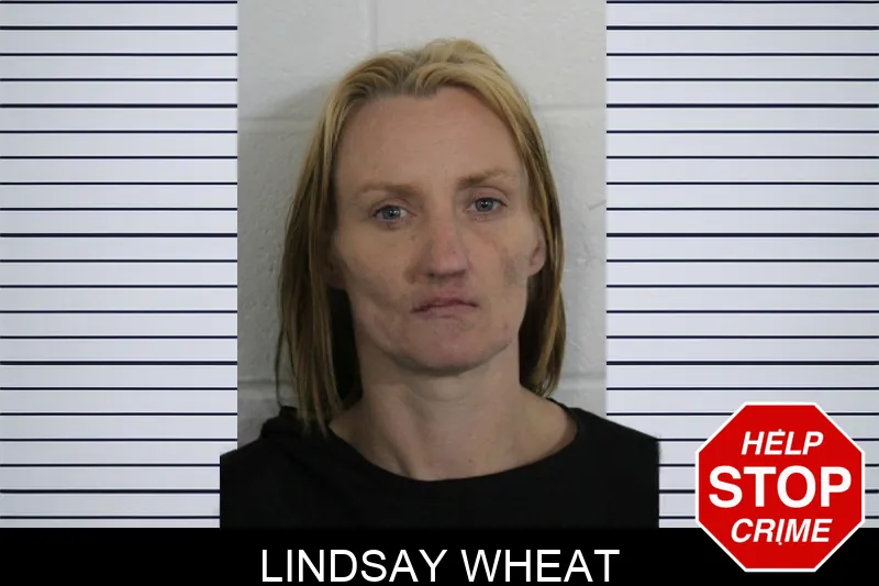 Lindsay Wheat Mugshots