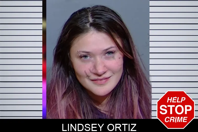 Lindsey Ortiz Mugshots