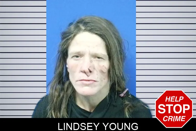 Lindsey Young Mugshots