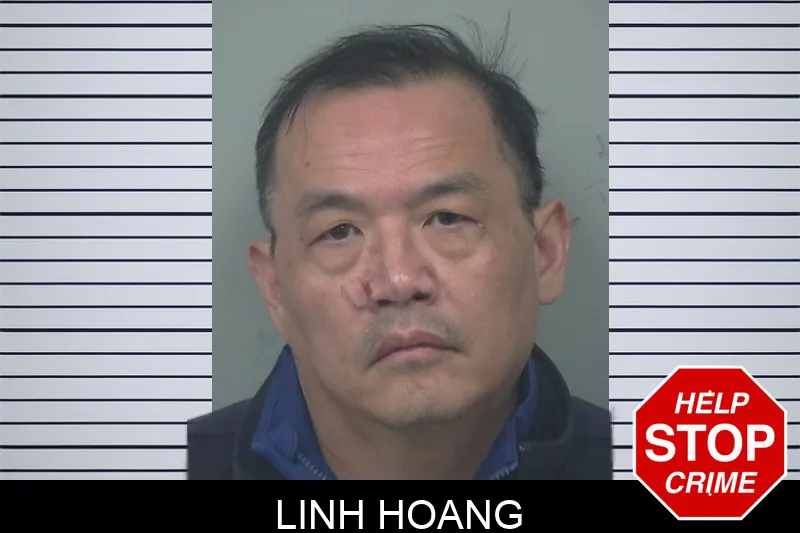 Linh Hoang mugshot