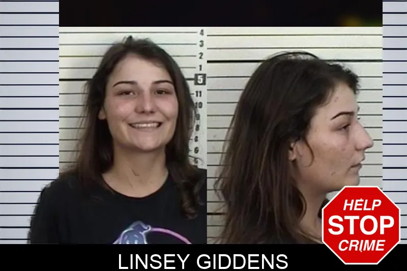Linsey Giddens Mugshots