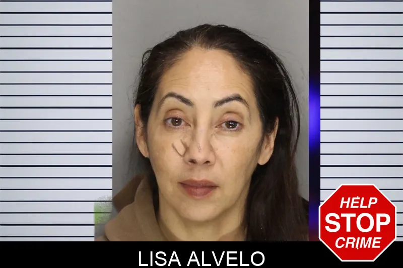 Lisa Alvelo Mugshots