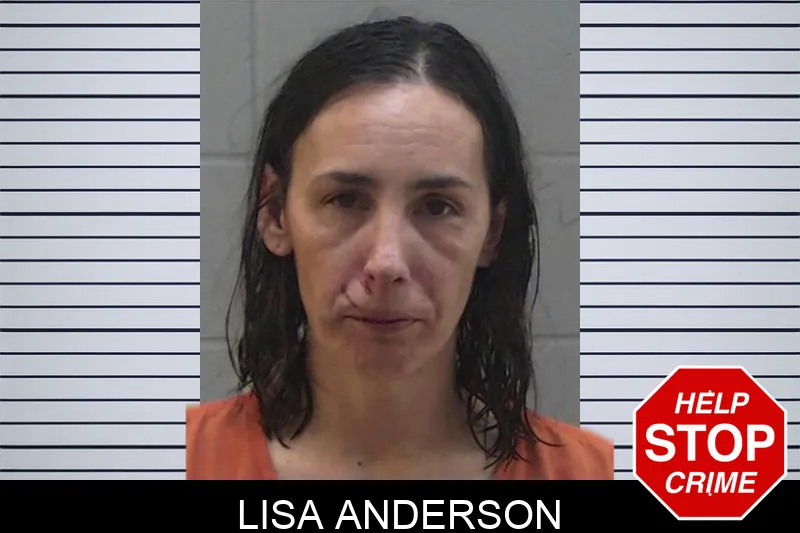 Lisa Anderson Mugshots