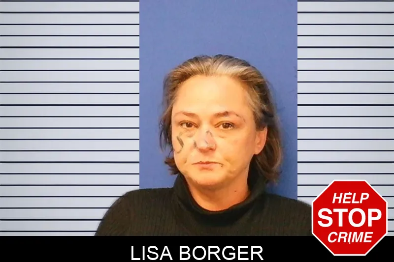 Lisa Borger Mugshots