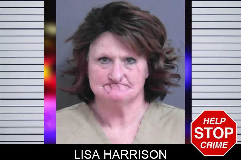 Lisa Harrison Mugshots