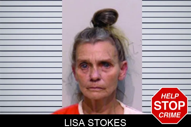 Lisa Stokes Mugshots