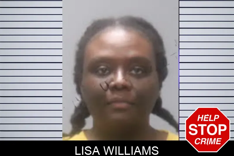 Lisa Williams Mugshots
