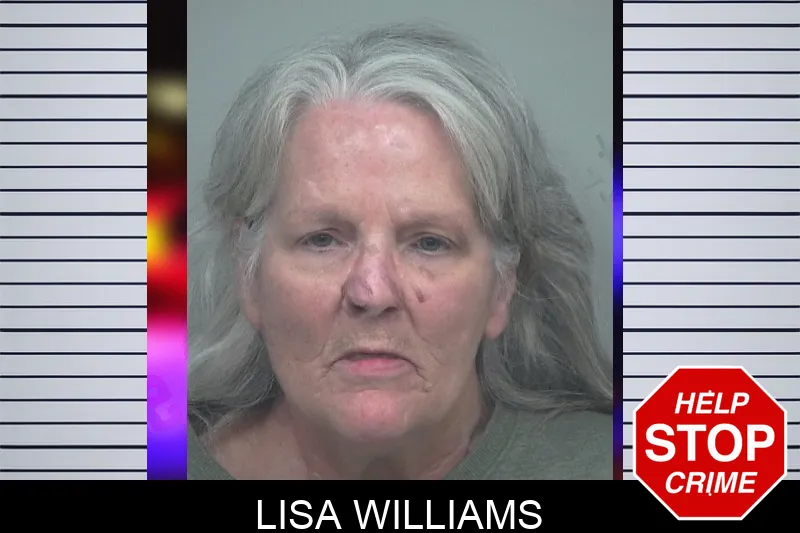 Lisa Williams Mugshots