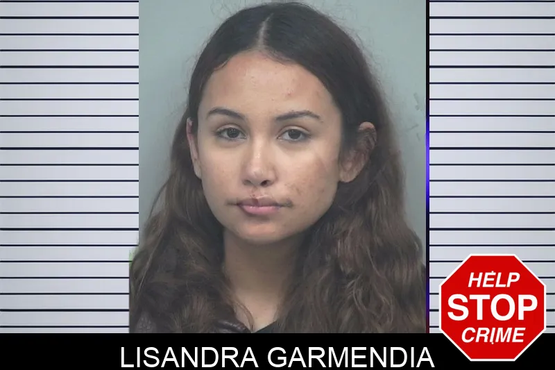 Lisandra Garmendia Mugshots