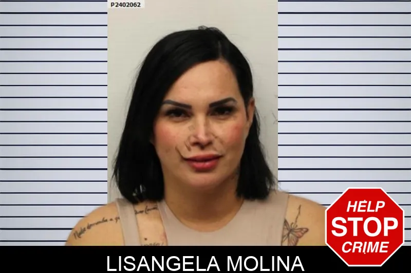 Lisangela Molina mugshot