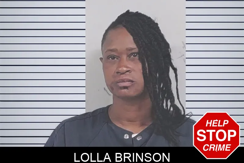 Lolla Brinson mugshot – Lowndes County , Georgia Lolla Brinson mugshot