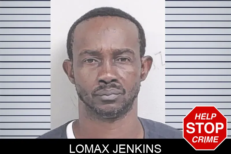 Lomax Jenkins mugshot – Lowndes County , Georgia Lomax Jenkins mugshot