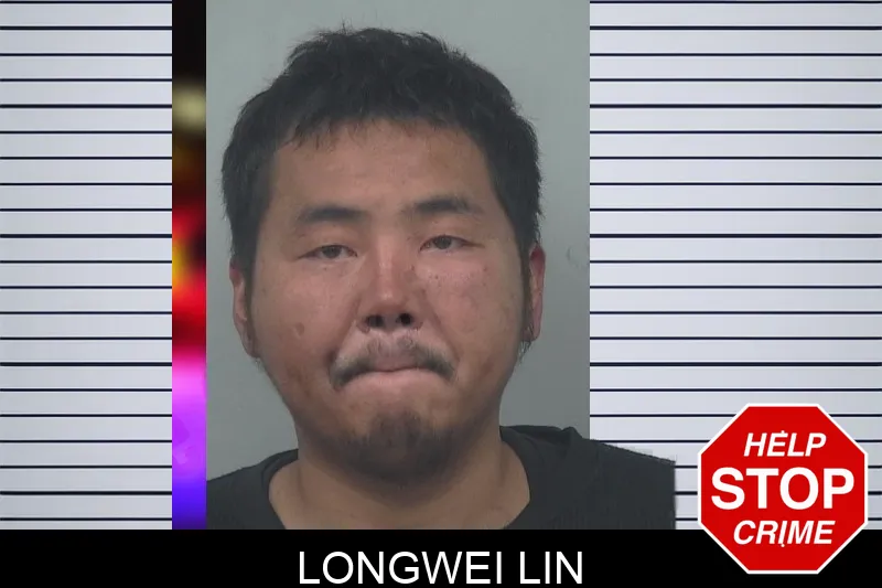 Longwei Lin mugshot