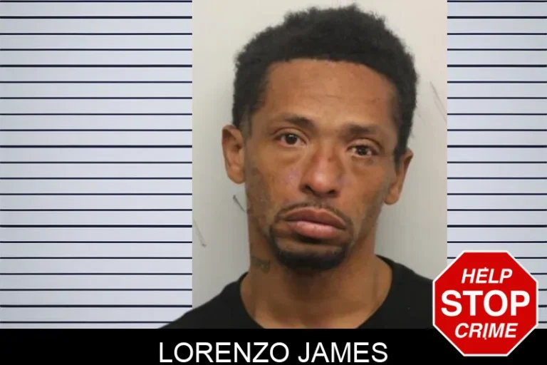 Lorenzo James mugshot – Chatham County , Georgia Lorenzo James