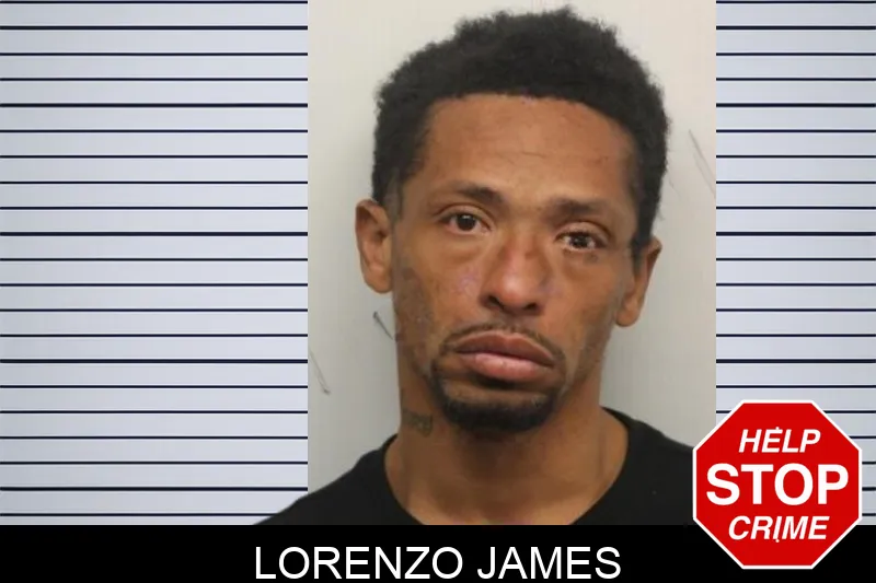 Lorenzo James mugshot – Chatham County , Georgia Lorenzo James mugshot