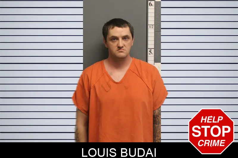 Louis Budai Mugshots