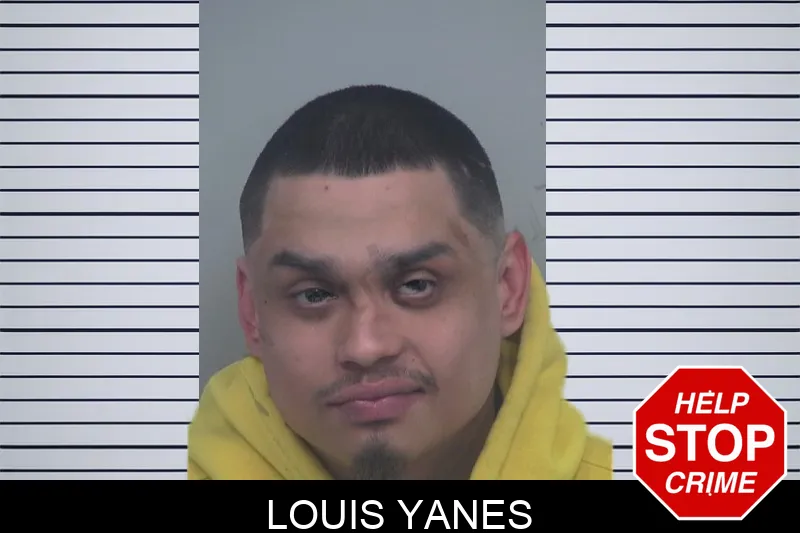 Louis Yanes mugshot