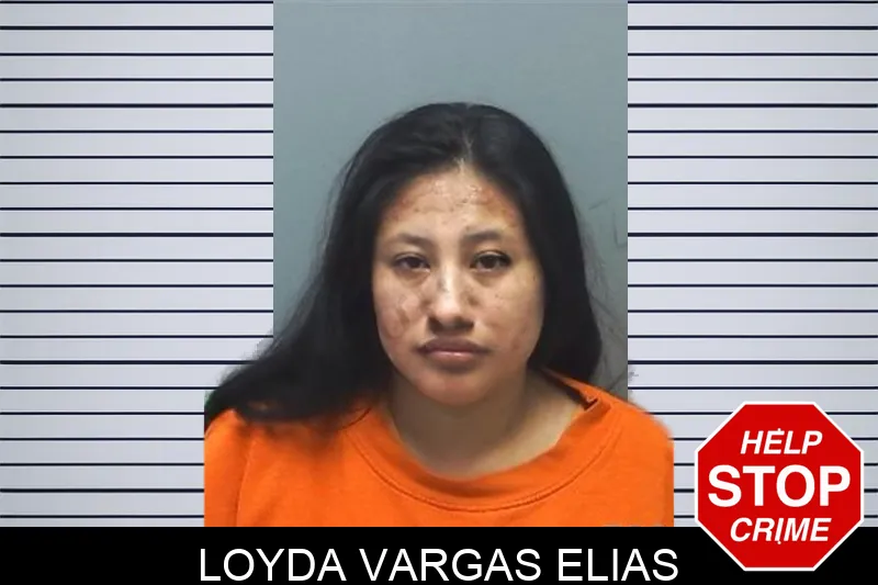 Loyda Vargas Elias Mugshots
