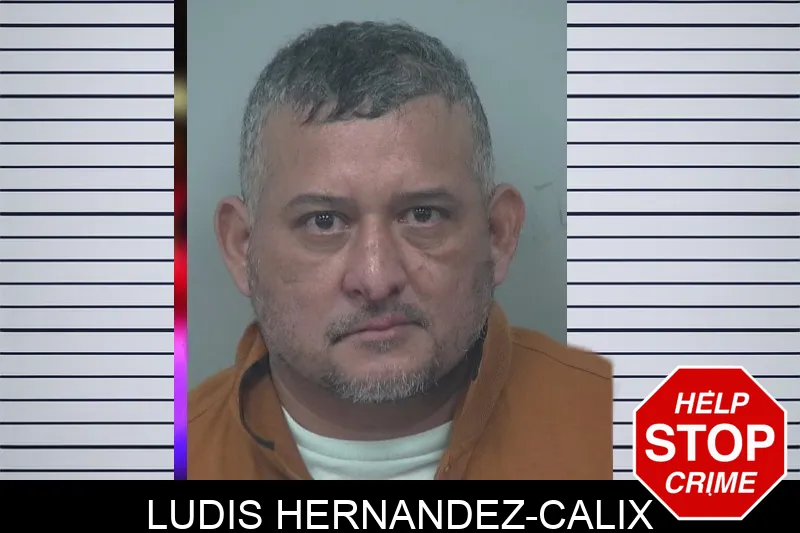 Ludis Hernandez-Calix mugshot