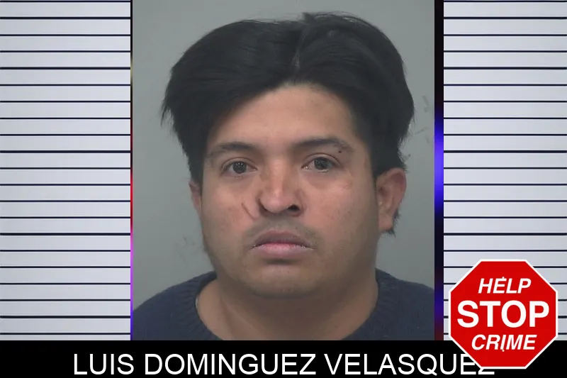 Luis Dominguez Velasquez mugshot