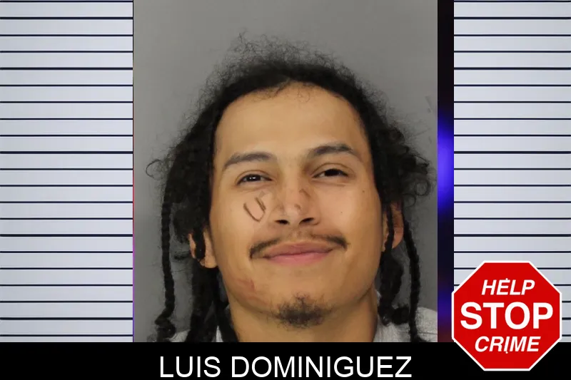 Luis Dominiguez Mugshots