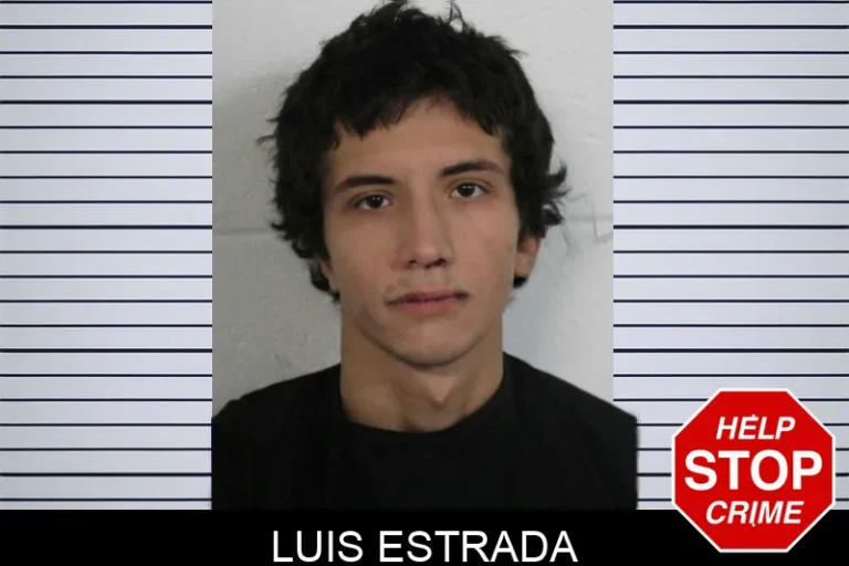Luis Estrada