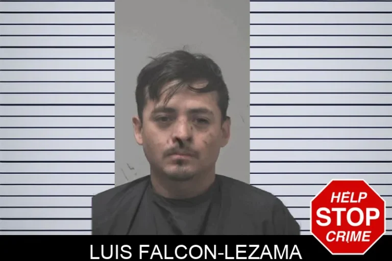 Luis Falcon-Lezama