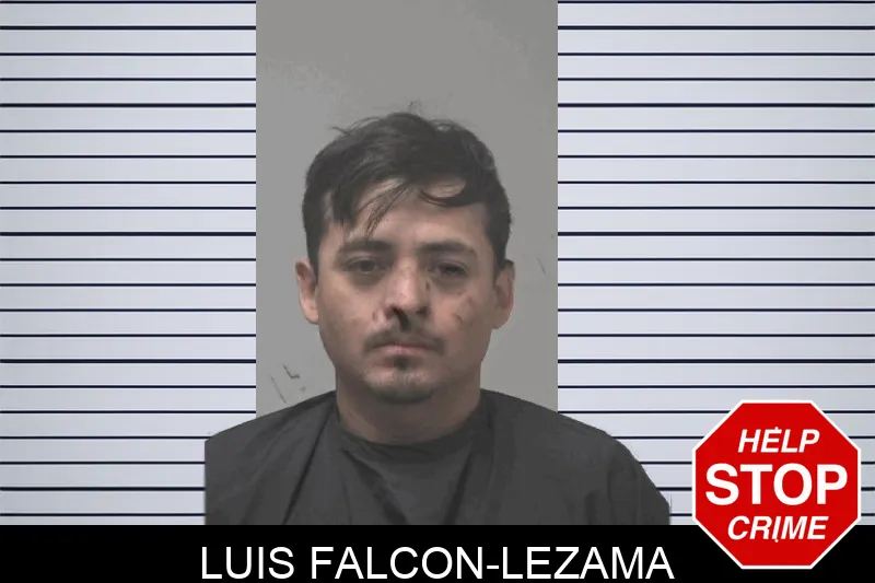 Luis Falcon-Lezama Mugshots