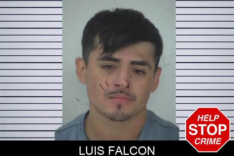 Luis Falcon Mugshots