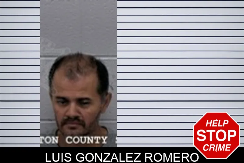 Luis Gonzalez Romero Mugshots