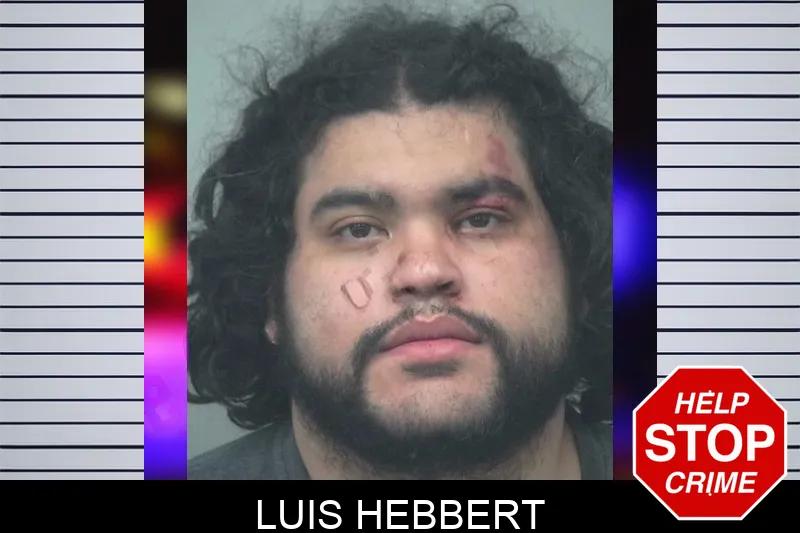 Luis Hebbert mugshot