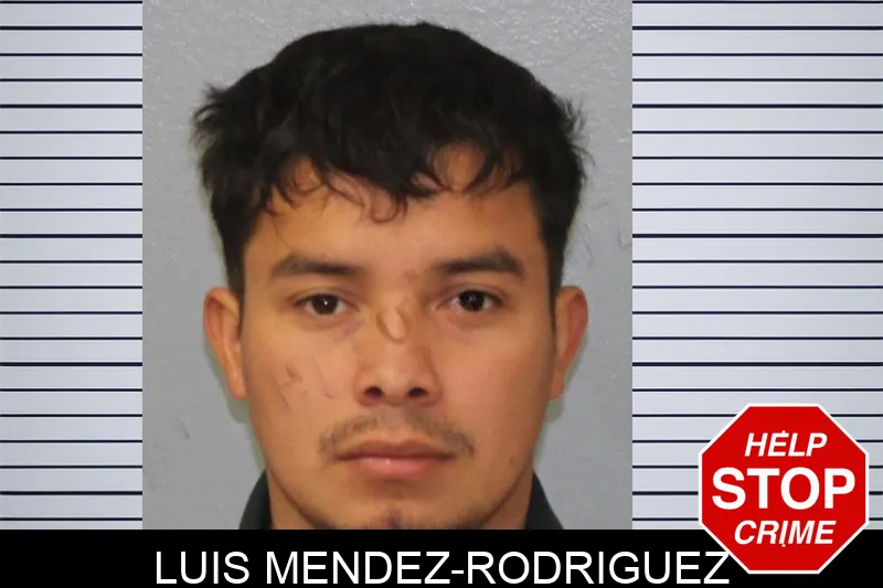 Luis Mendez-Rodriguez Mugshots