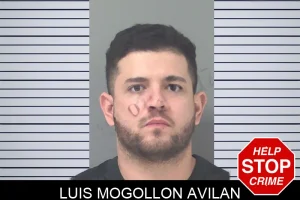 Luis Mogollon Avilan mugshot