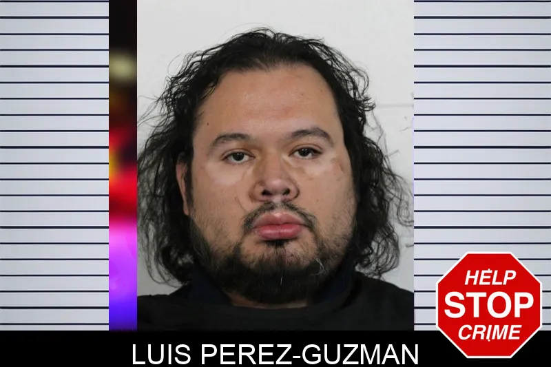 Luis Perez-Guzman Mugshots