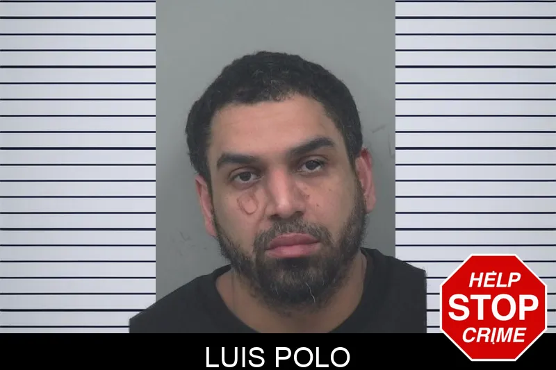 Luis Polo mugshot