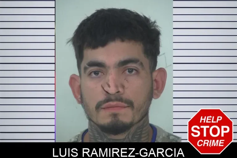 Luis Ramirez-Garcia