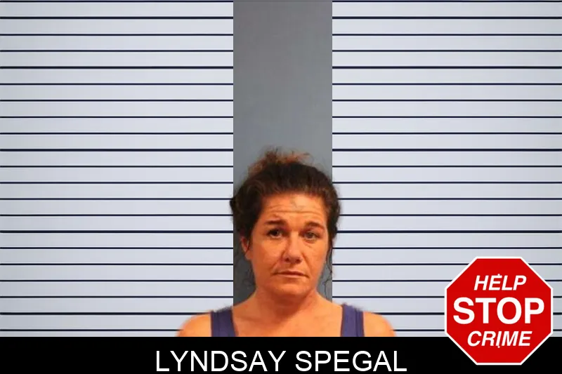 Lyndsay Spegal Mugshots