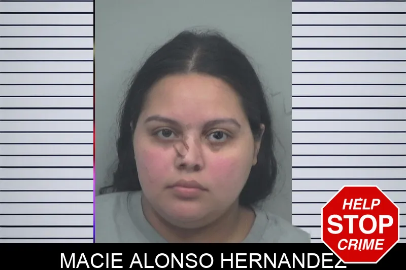 Macie Alonso Hernandez Mugshots