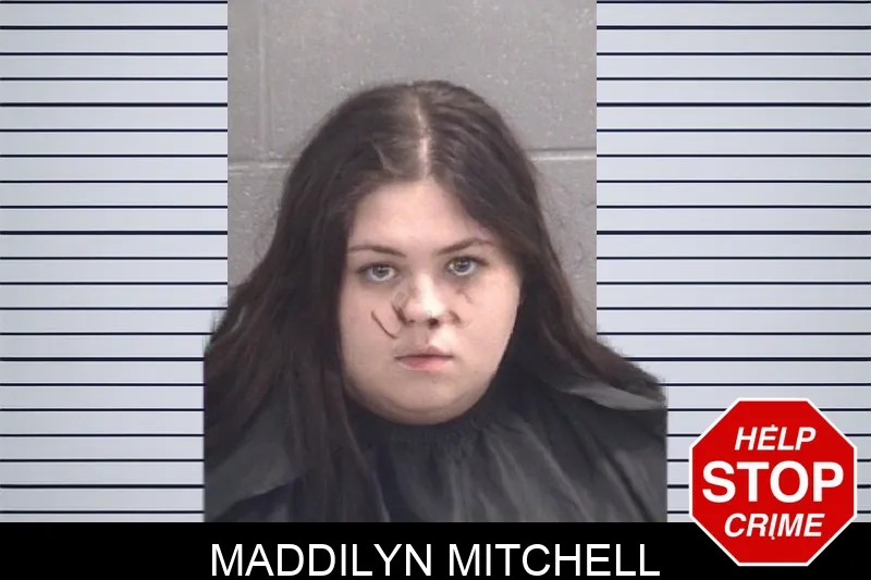 Maddilyn Mitchell Mugshots