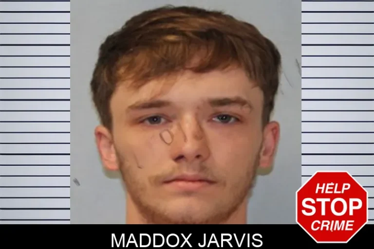 Maddox Jarvis